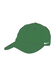 Apple Green / White  Team Campus Hat Nike Apple Green / White || product?.name || ''