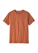 Patagonia Unisex Daily T-Shirt Sienna Clay || product?.name || ''